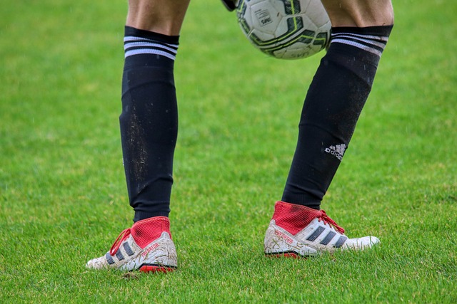 主教练科尔 主教练科尔