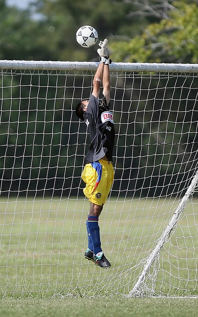 政府沟通 政府沟通