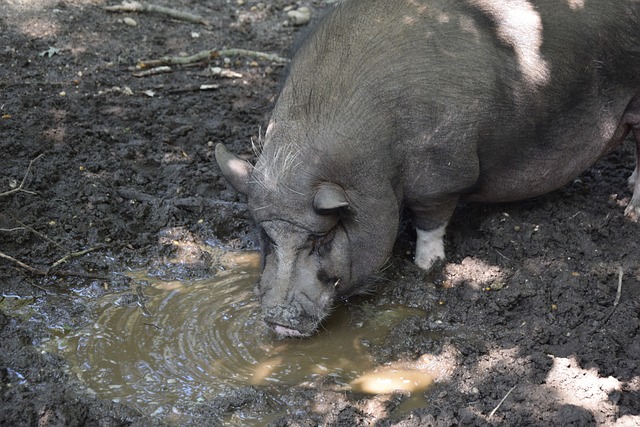 经验的积累 经验的积累