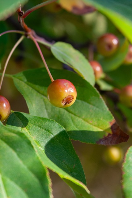 更是对主教 更是对主教