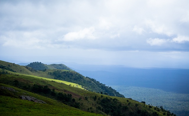 籌款購買 籌款購買