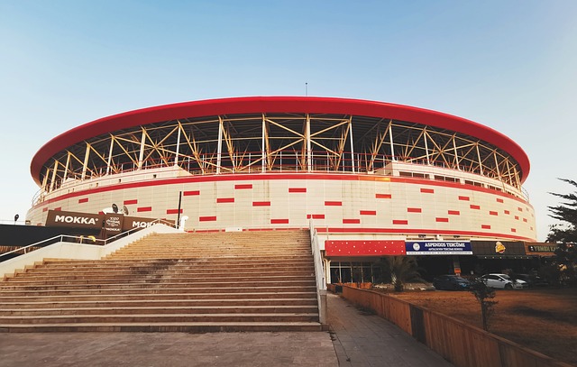 行动证明了 行动证明了